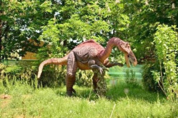 Despre dinozauri, la Complexul de Ştiinţe ale Naturii